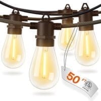 Outdoor String Lights with Edison