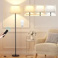 Modern Floor Lamp with Remote Control,