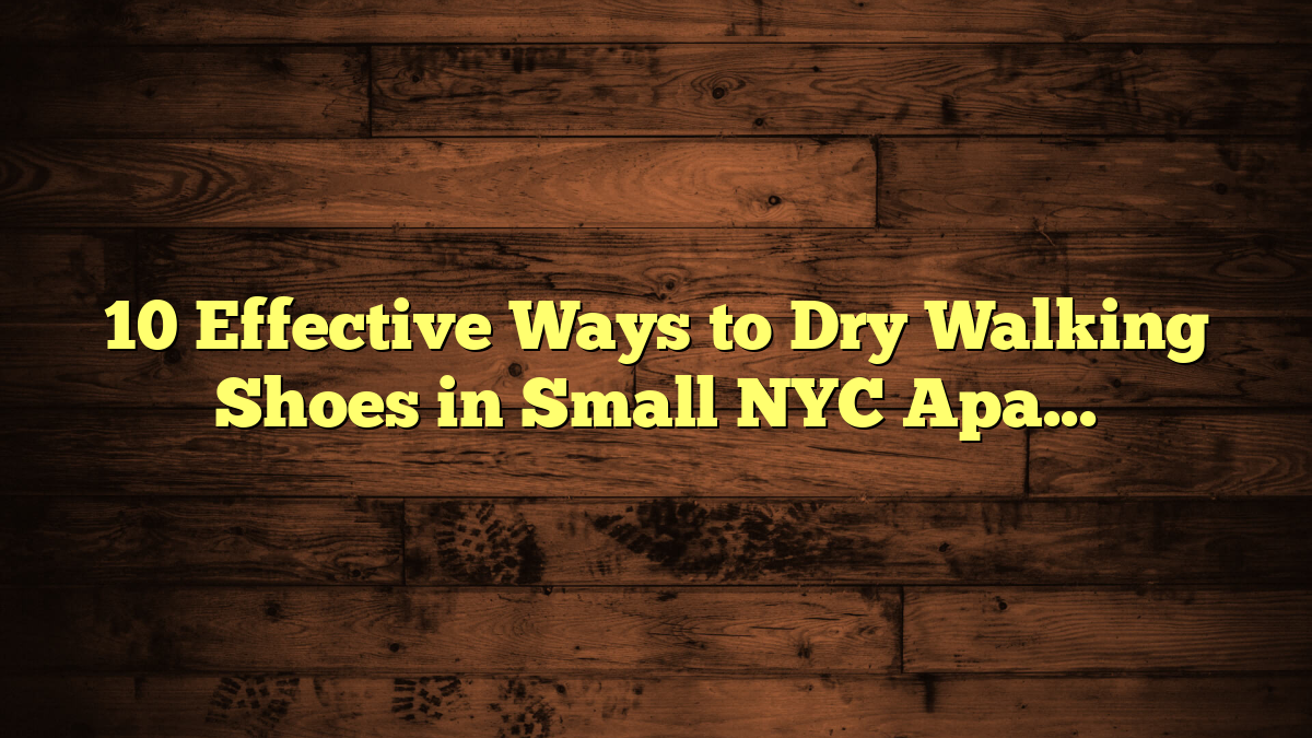 10 Effective Ways to Dry Walking Shoes in Small NYC Apartments