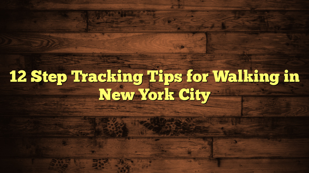 12 Step Tracking Tips for Walking in New York City